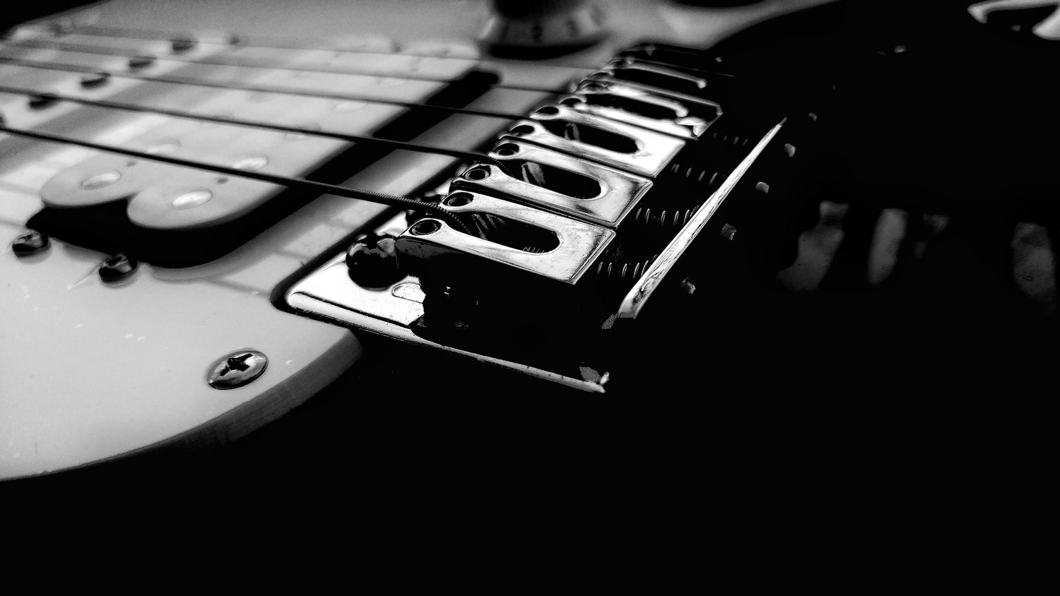 Puente de una guitarra eléctrica en blanco y negro